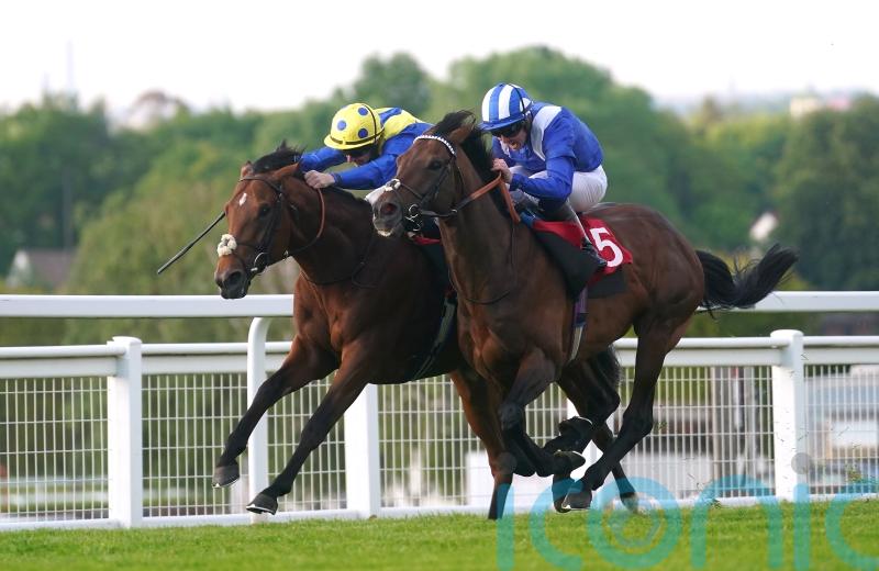 Hardwicke date for Hukum uppermost in Burrows’ mind