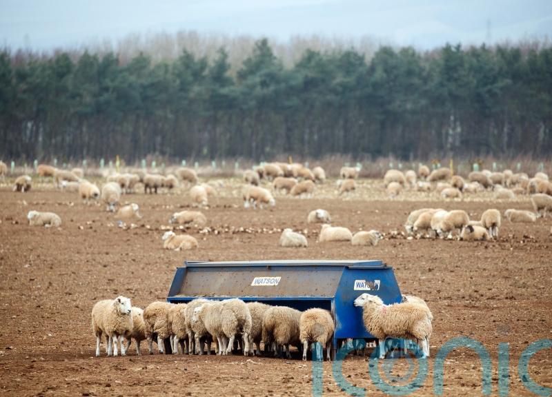 Minister in testy exchanges with committee convener over farm funding