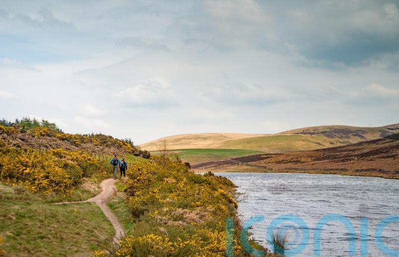 Elements of land reform proposals backed in consultation