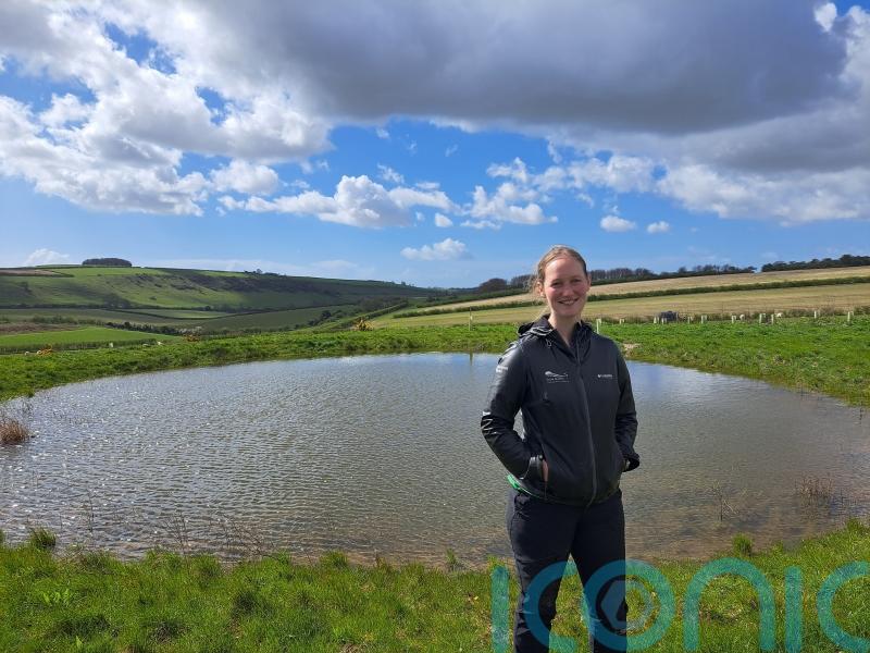 £1 million bid launched to return historical dew ponds to South Downs