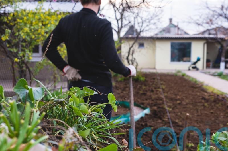 Top tips to avoid garden injuries