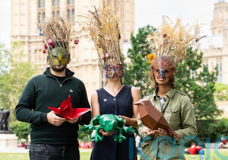 Youth campaigners urge Prime Minister to back climate and nature Bill