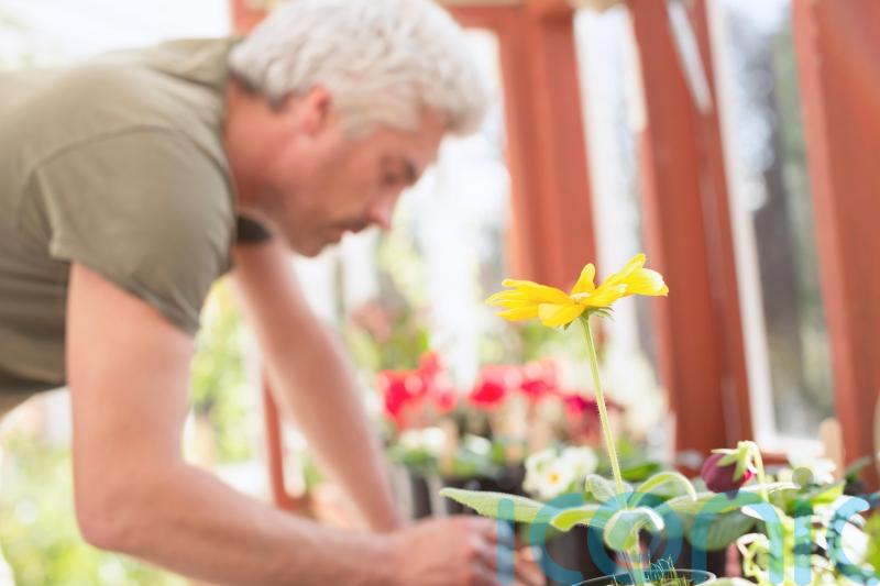 7 great gardening gifts for dads this Father&rsquo;s Day