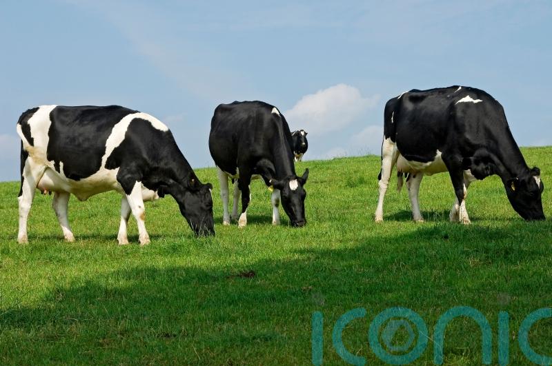 AB Foods agrees £48m deal to buy National Milk Records