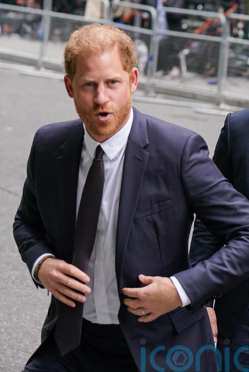 Harry says Government is at ‘rock bottom’ in High Court statement