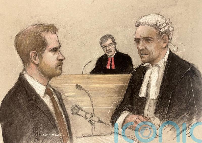 Harry had ‘huge amount of paranoia’ after press intrusion, court told