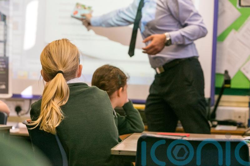 Nearly a third of primary schools have no male classroom teachers &ndash; study