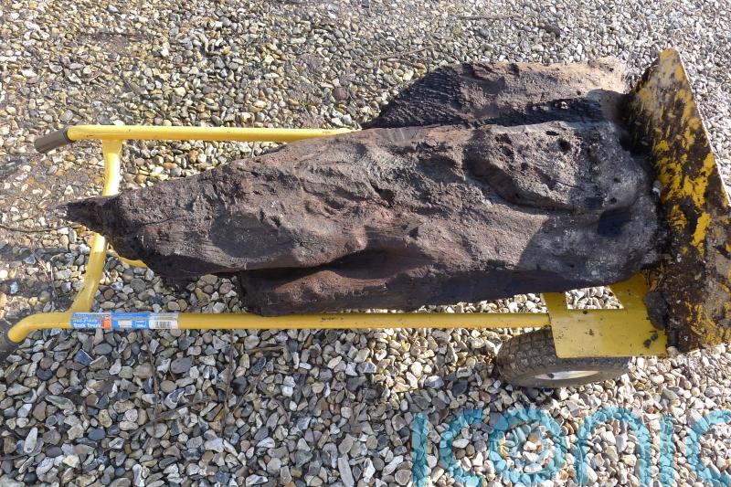 Timber recovered from trench believed to be oldest carved wood found in Britain