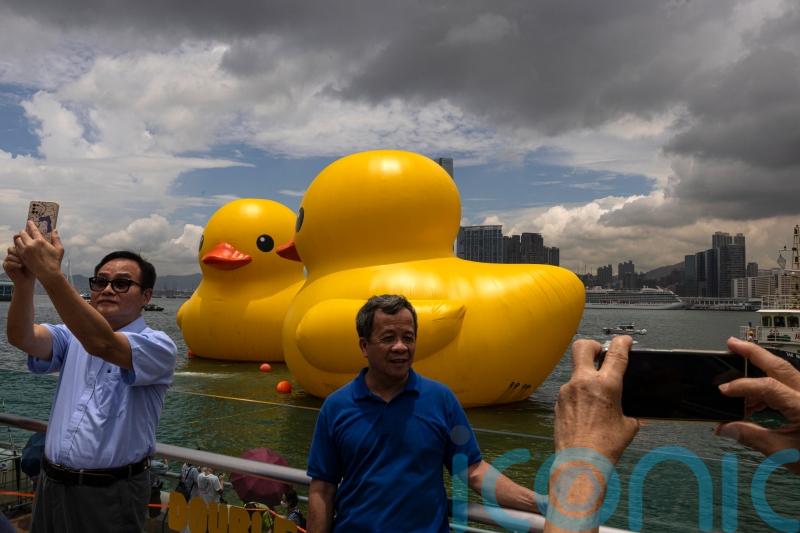 Giant inflatable ducks make waves in Hong Kong