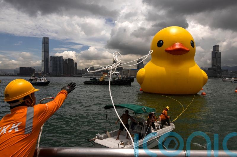 One of two giant ducks in Hong Kong&rsquo;s Victoria Harbour deflates