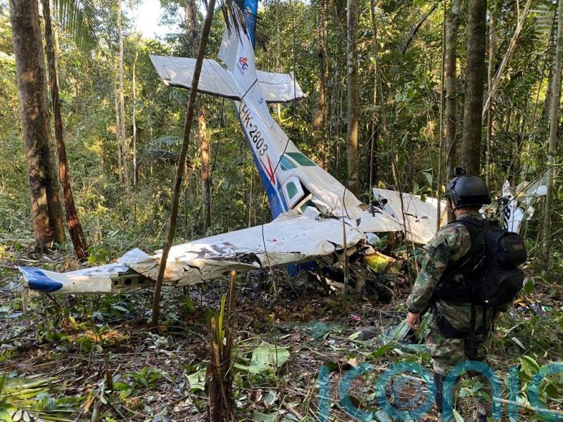Relatives fight for custody of children who survived Amazon jungle plane crash