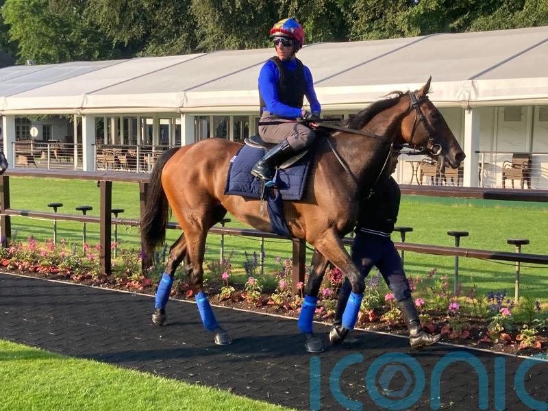 Inspiral giving the right signals ahead of Queen Anne return