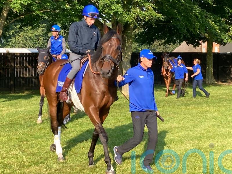 Adayar raring to go in search of Prince of Wales’s Stakes gold