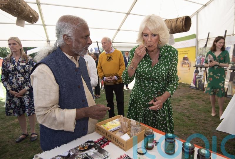 Camilla stamps ‘Queen Bee’ on paper art installation at beekeeping charity event