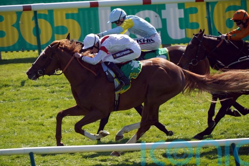 Ferguson banking on a pair of Legends to break his Ascot duck