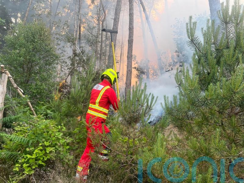 Firefighters tackle wildfires across South Wales as service is ‘inundated’
