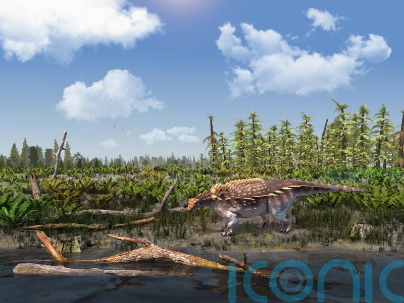 Armoured dinosaur discovered on Isle of Wight ‘for first time in 142 years’
