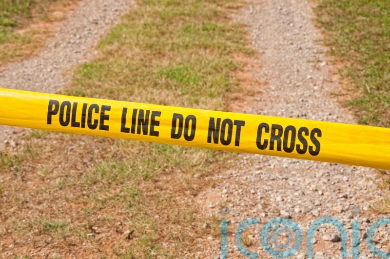 Two dead and three injured in shooting at US music festival
