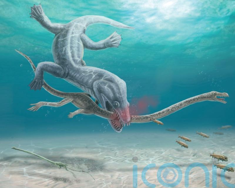 Pre-historic long-necked reptiles were decapitated by their predators – study