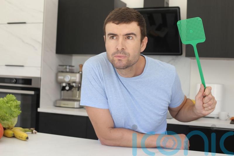 How to keep flying insects out of your home