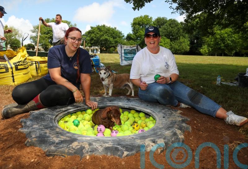 Lottery winners get stuck in creating herb garden at dog ‘retirement home’