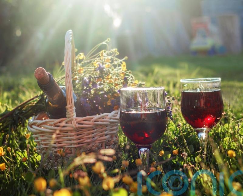 6 super reds to sip in the sunshine