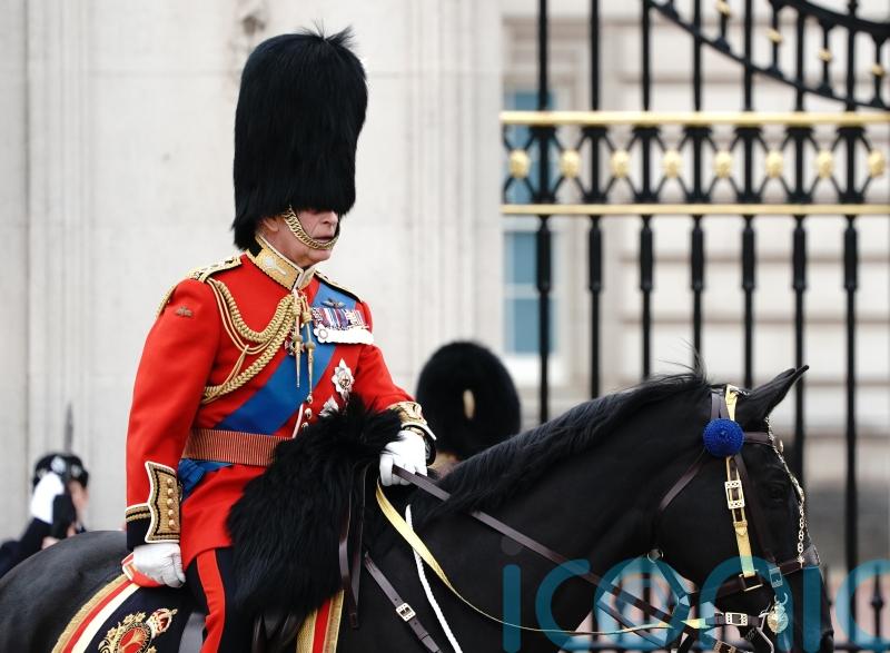King pays tribute to troops to mark Armed Forces Day