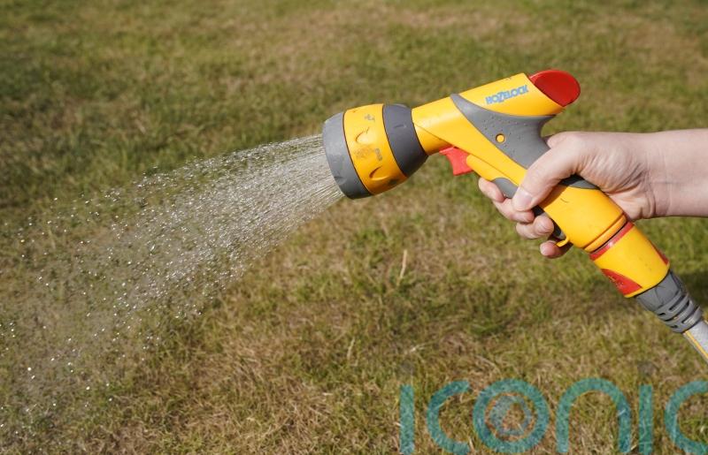 Water company blames people working from home for hosepipe ban