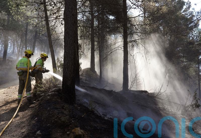 Spain braces for massive wildfires in bone-dry forests starved of rain