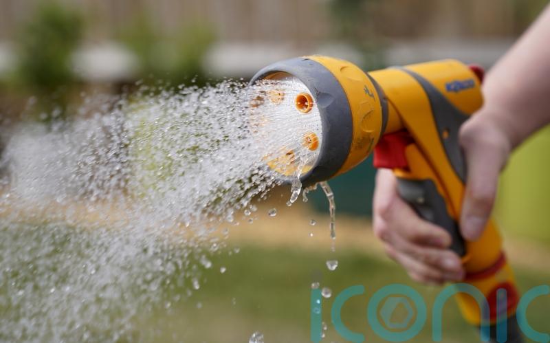 Ofwat seeks ‘urgent meeting’ with South East Water over hosepipe ban
