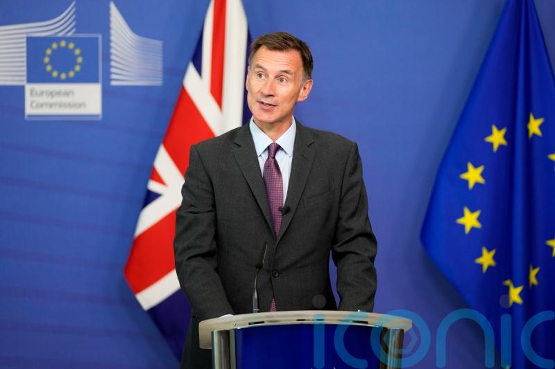 Talks on UK joining EU Horizon research programme ‘crunchy’, says Hunt