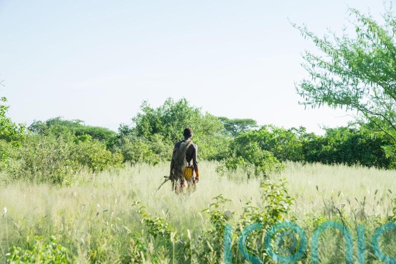 Women ‘actively hunt in 70% of hunter-gatherer societies still in existence’