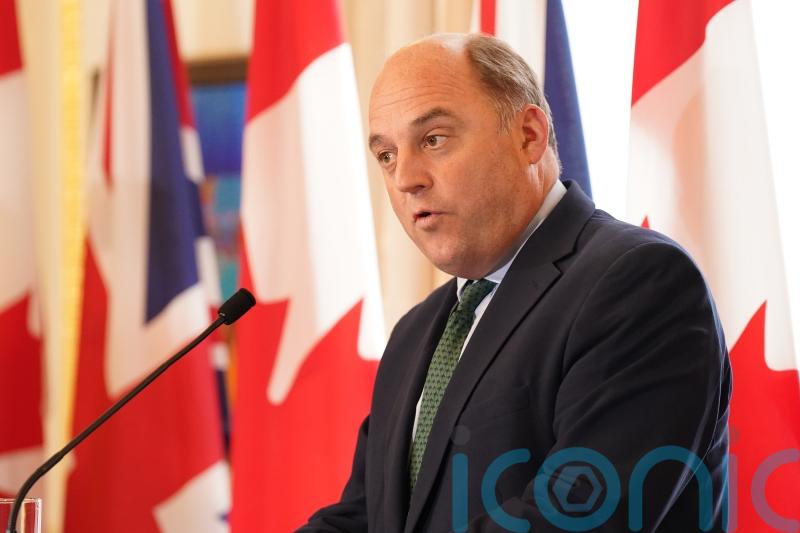 Wallace would support Ukraine being fast-tracked through Nato accession