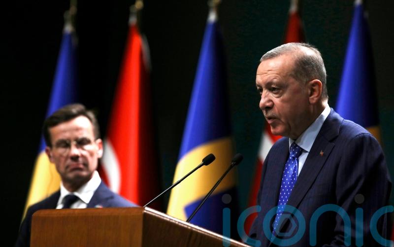Erdogan signals Turkey is not ready to ratify Sweden Nato membership