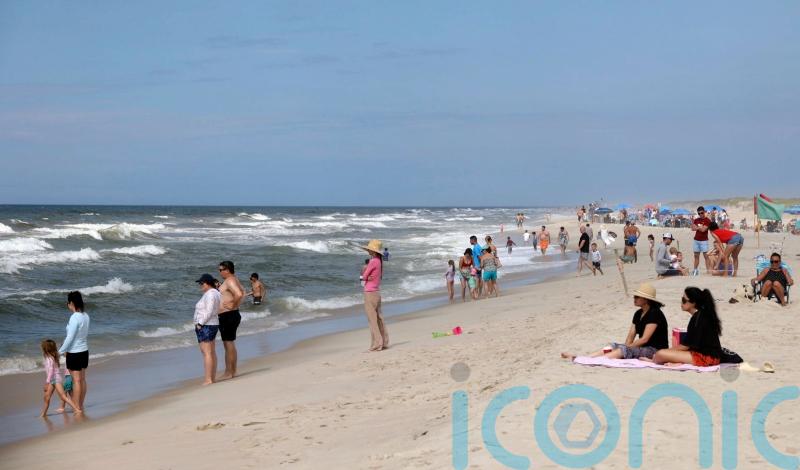 Possible shark attacks prompt heightened patrols at New York’s Long Island