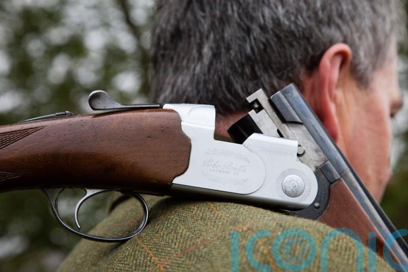 Government taking action necessary on firearms licensing, minister tells MPs