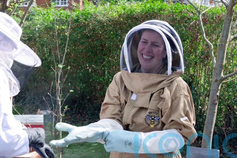 Beekeeping has gone viral – but how easy is it?