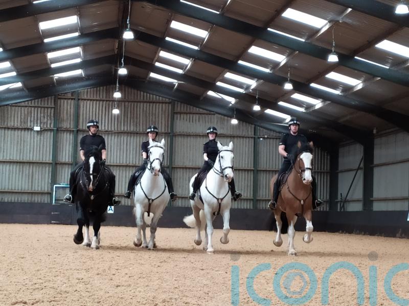 Newly-refurbished police horse unit named after late colleague