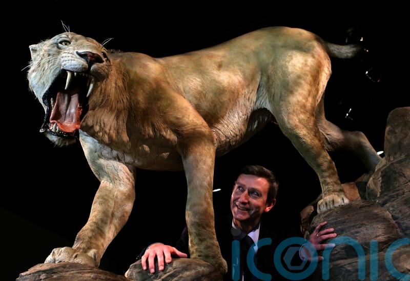 Ice Age sabre-tooth cats and dire wolves suffered from diseased joints – study