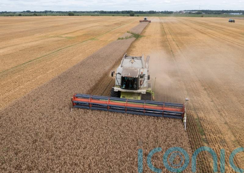 Russia halts deal allowing Ukraine to ship grain in blow to global food security