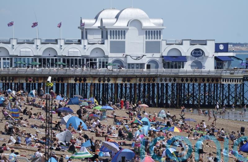 Seagulls could be cause of pollution that might keep bathers out of the sea