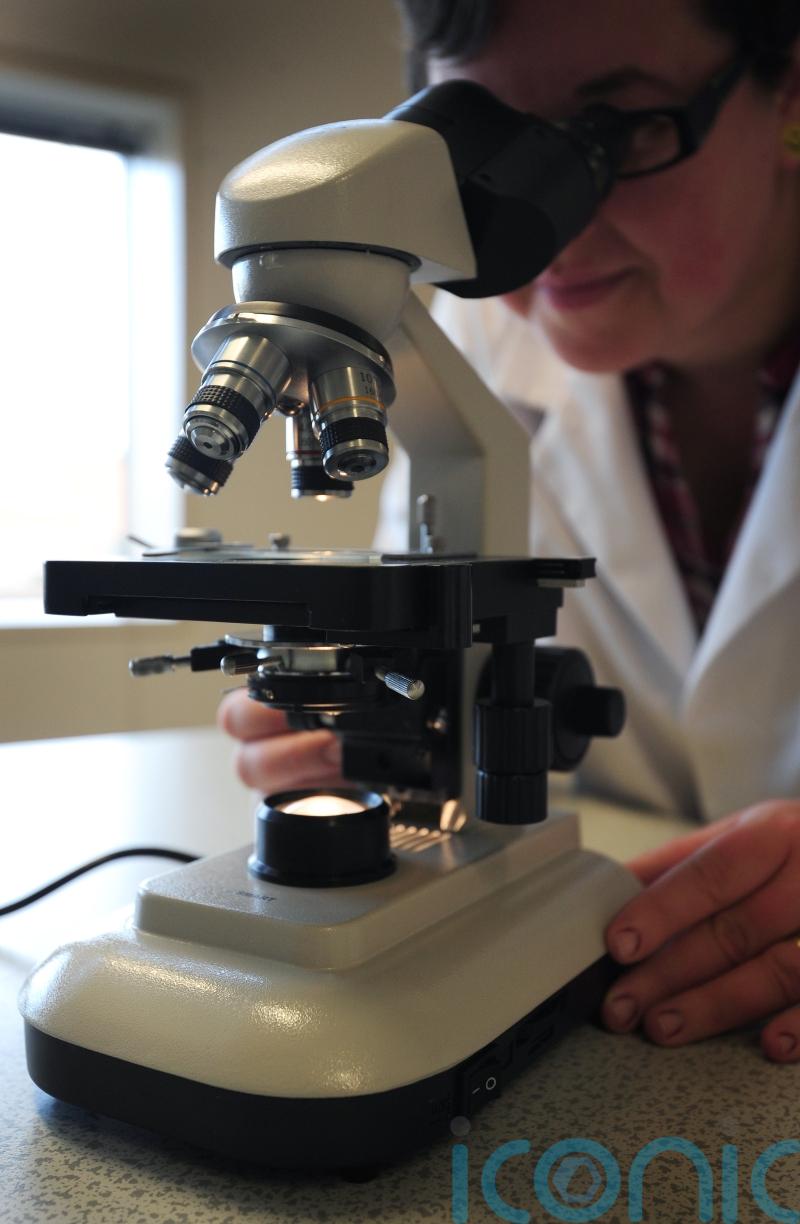 Scientists uncover genes that gave humans the ability to walk upright