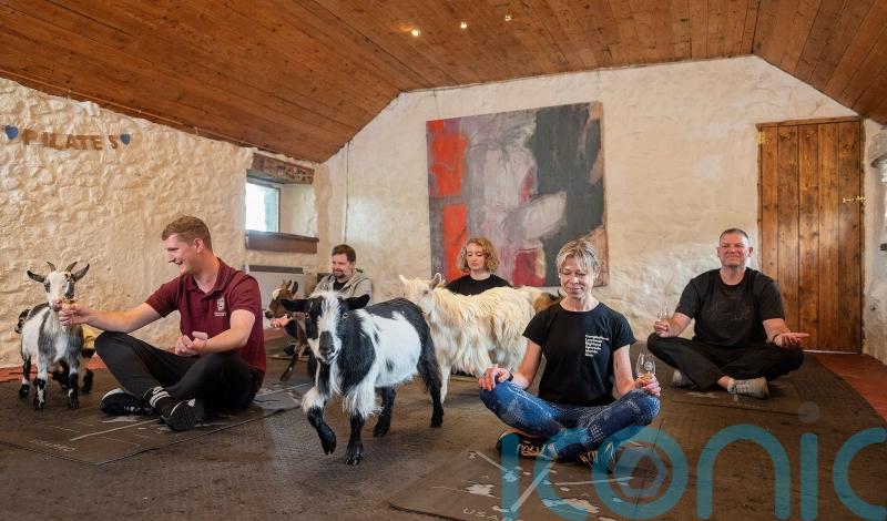 Pilates fans enjoy blend of whisky and goats at special tasting event