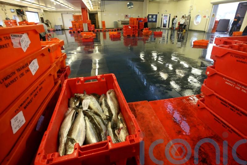 North Atlantic heatwave could be catastrophic for fish stocks, scientists warn