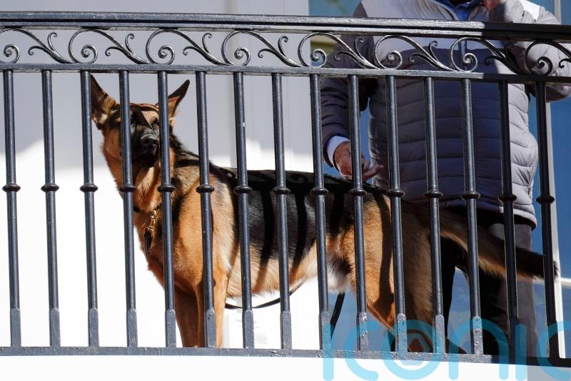 Joe Biden’s dog ‘bit Secret Service officers 10 times in four months’