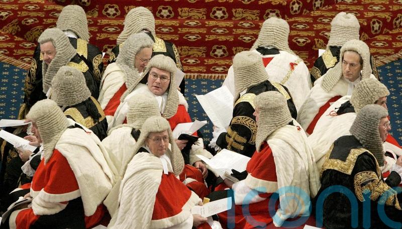 Peerage role not to be taken lightly, says Johnson ally