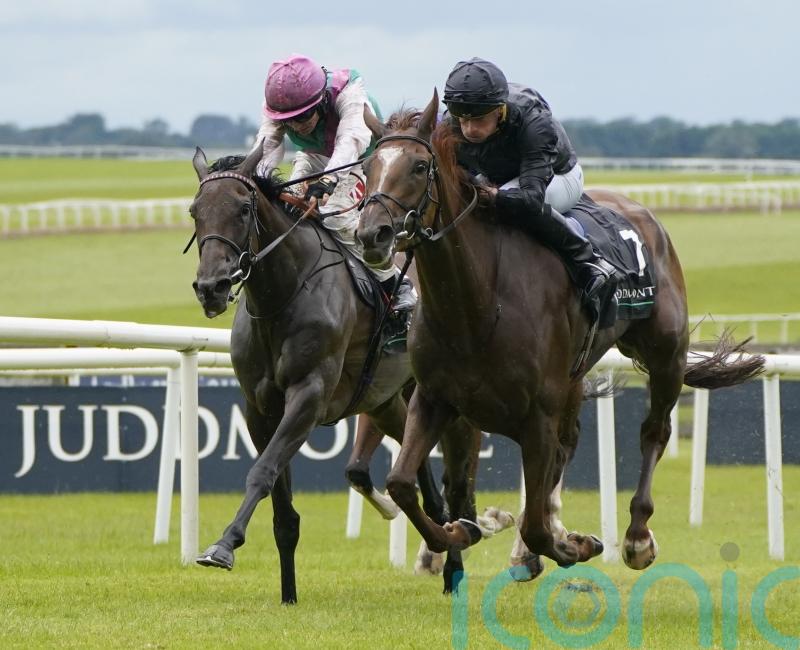 Yorkshire Oaks could be on the agenda for Bluestocking