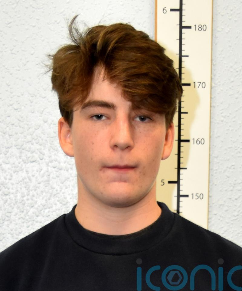 Satanist neo-Nazi jailed for 38 months after admitting string of fresh crimes