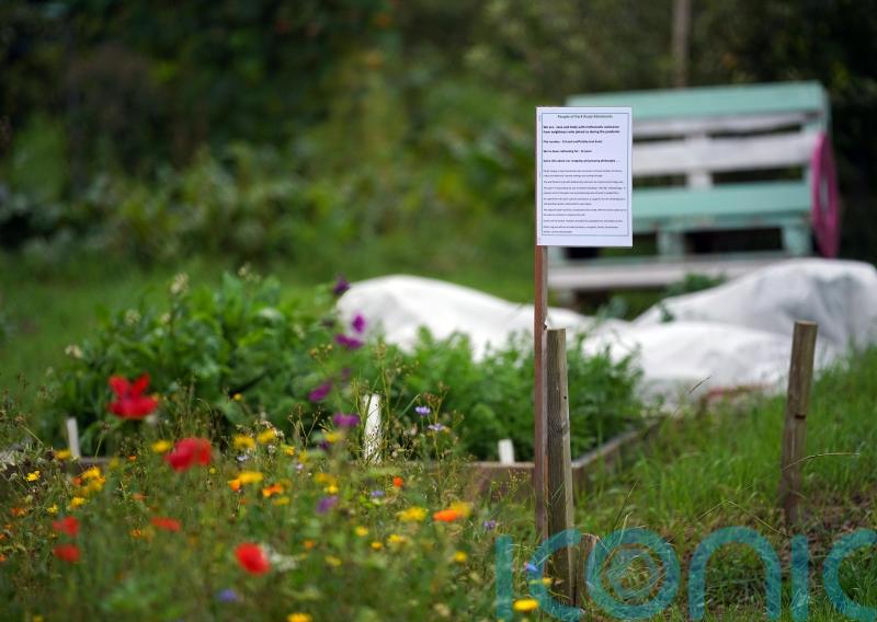 Duke’s allotment management was ‘dereliction by design’, inquiry told