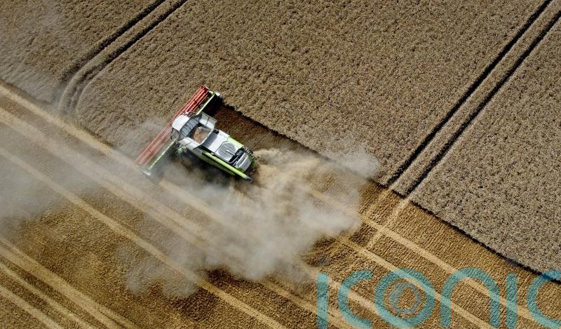 Weather in coming weeks ‘absolutely crucial’ to harvest, union leader warns